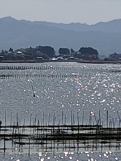 思い出はハンターカブに乗ってやってくる　～どうでもいいけどとんがらし～