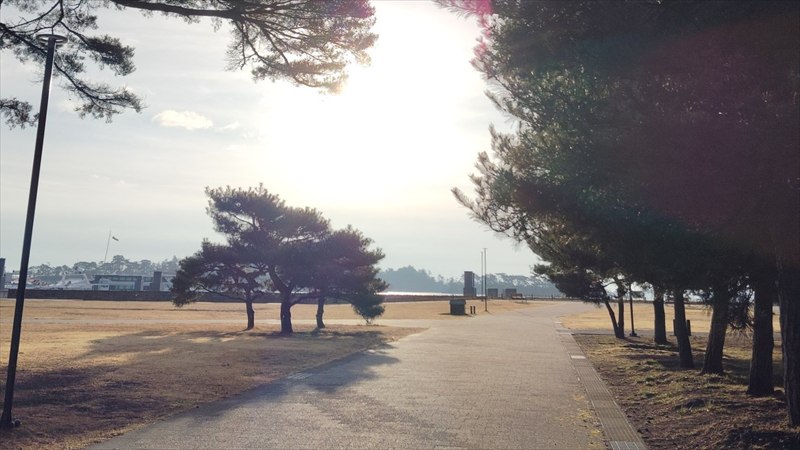 もう一人のマコは孤独を抱えていた