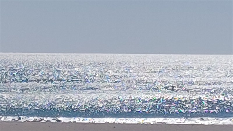 海